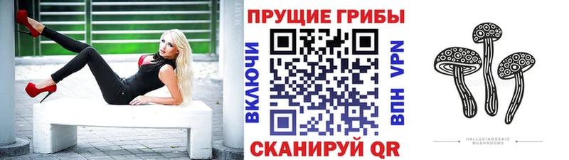 купить наркотик  Никольское  Галлюциногенные грибы мухоморы 
